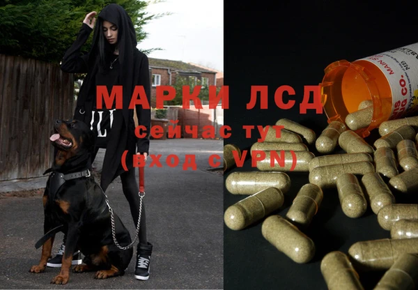 экстази Абаза