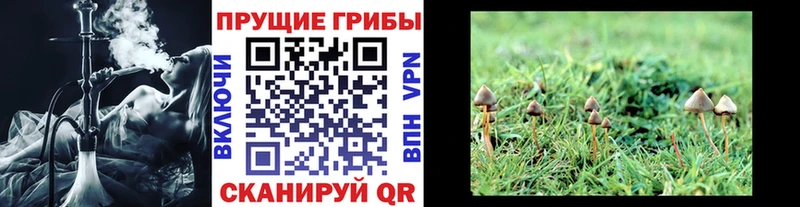 Псилоцибиновые грибы Magic Shrooms  Красный Сулин 